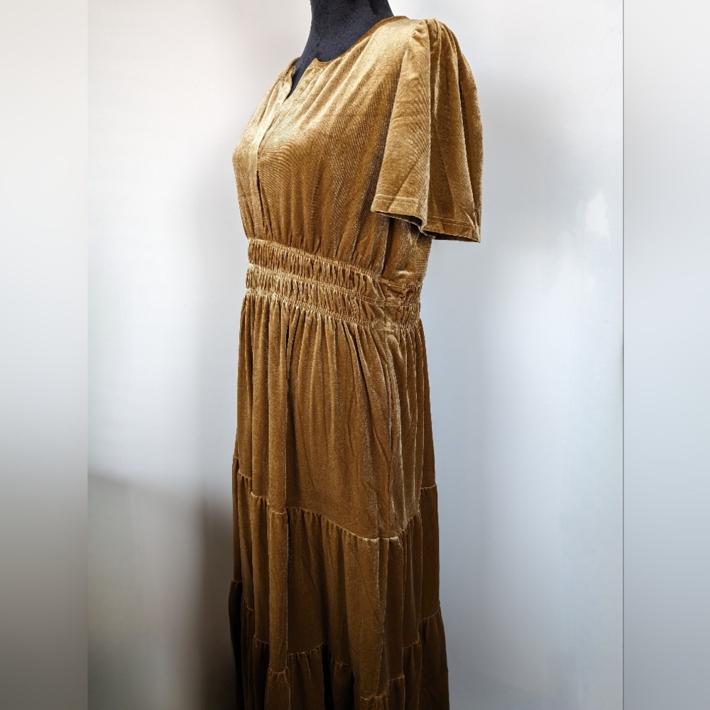 See and Be Seen Golden Maxi Velvet Dress